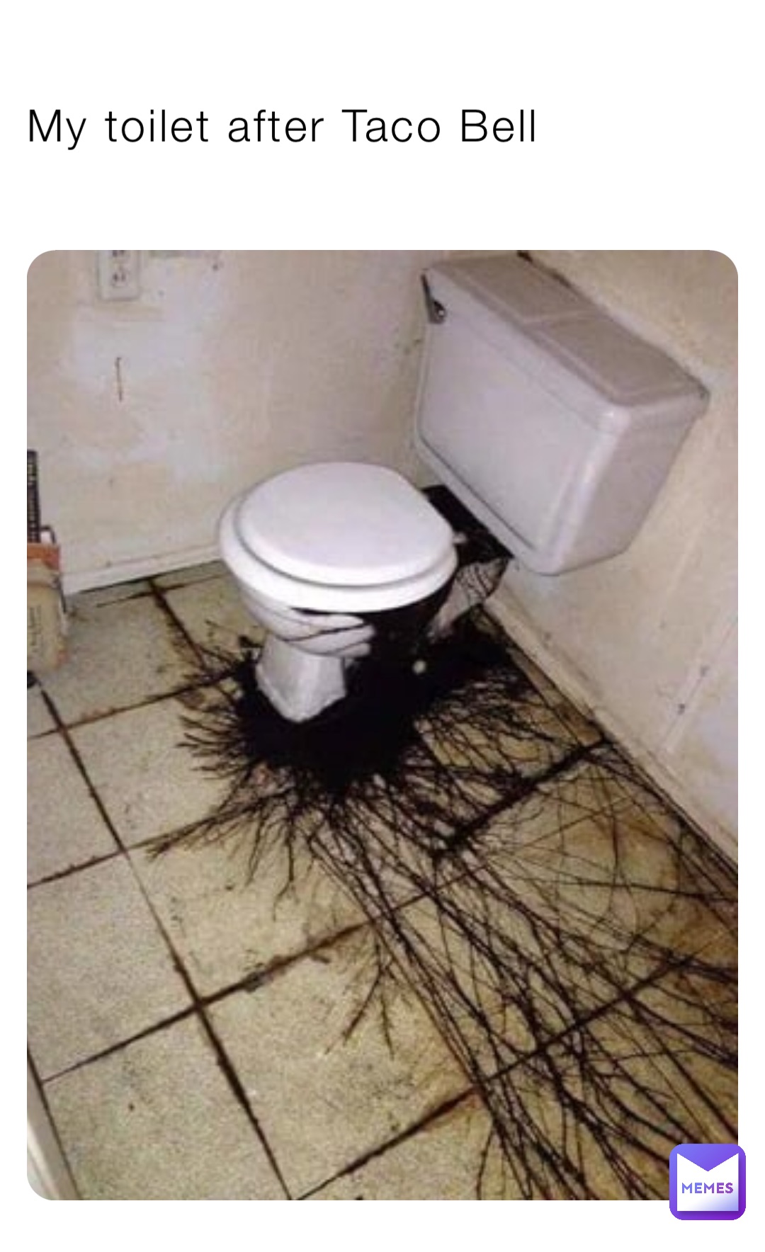 My toilet after Taco Bell