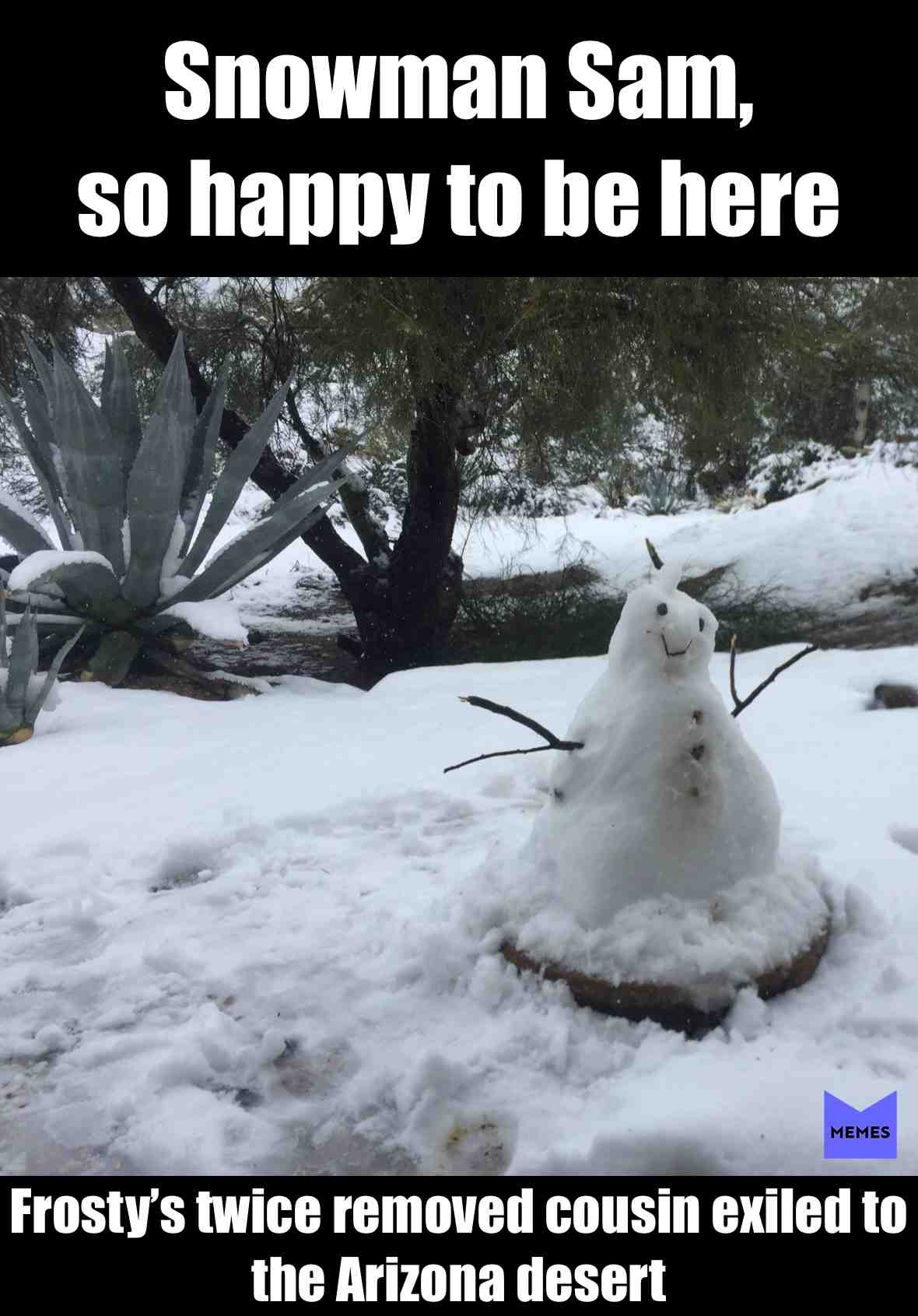 #snow #cactus #snowman #AZsnowday