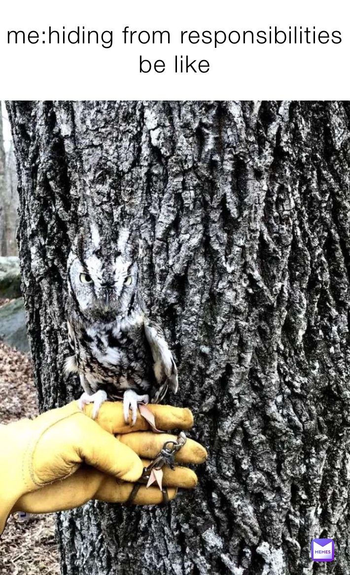 me:hiding from responsibilities be like