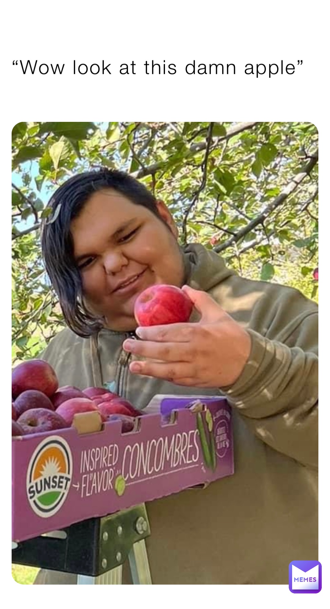 “Wow look at this damn apple”
