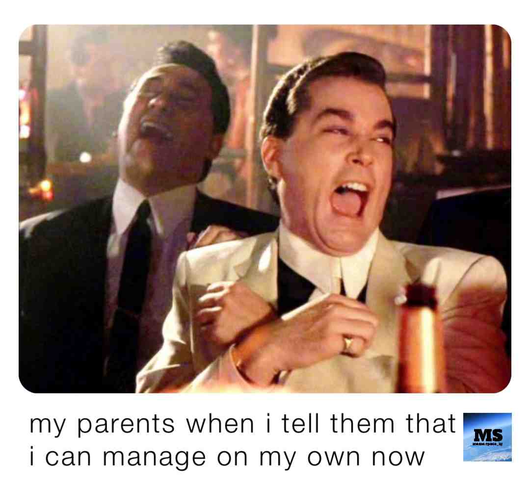 Meme shared by @meme.space_ig
