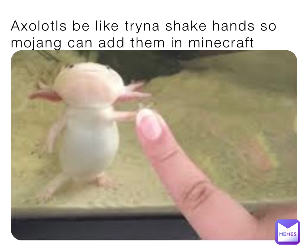 Axolotls be like tryna shake hands so mojang can add them in minecraft