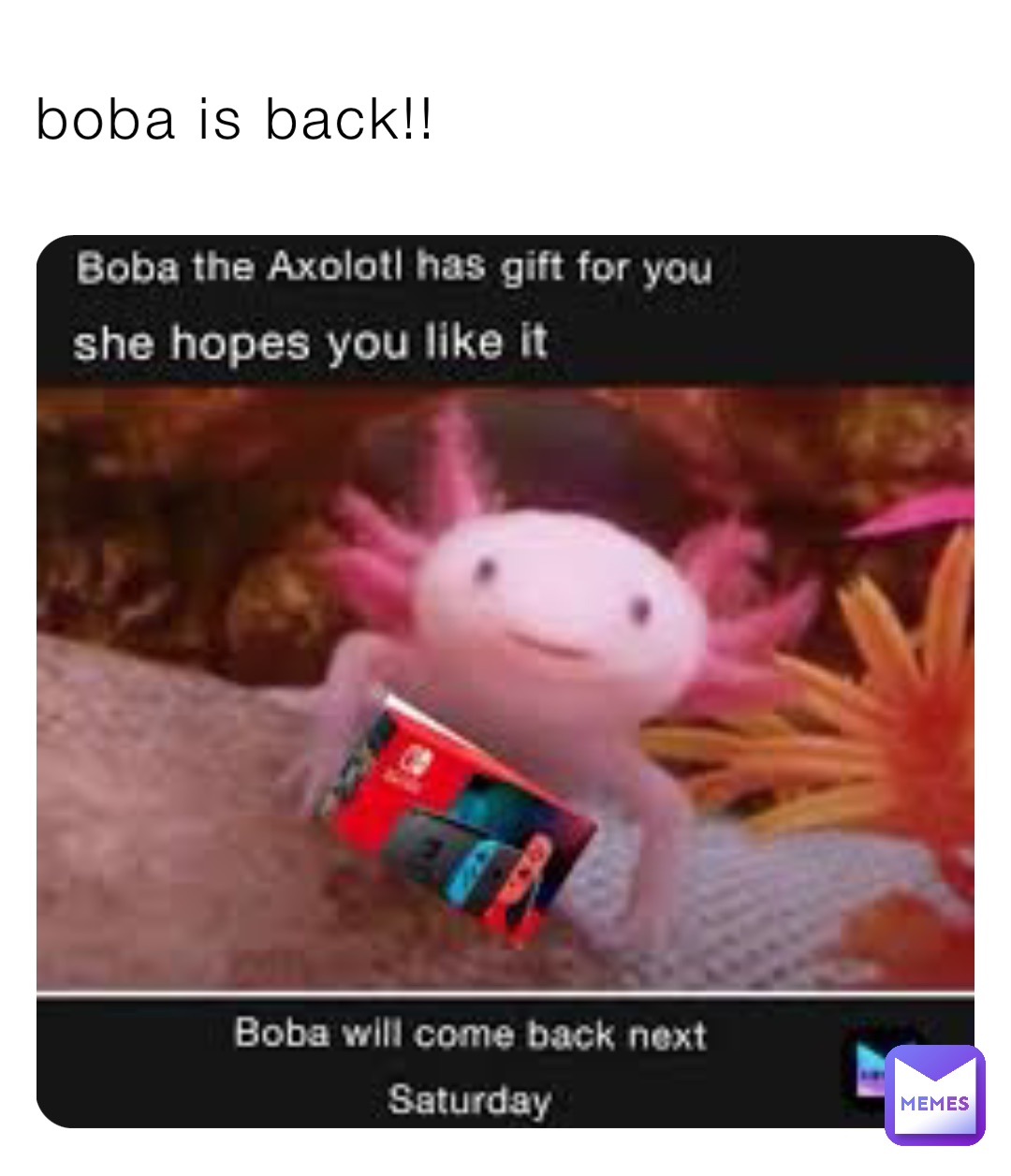 boba is back!!