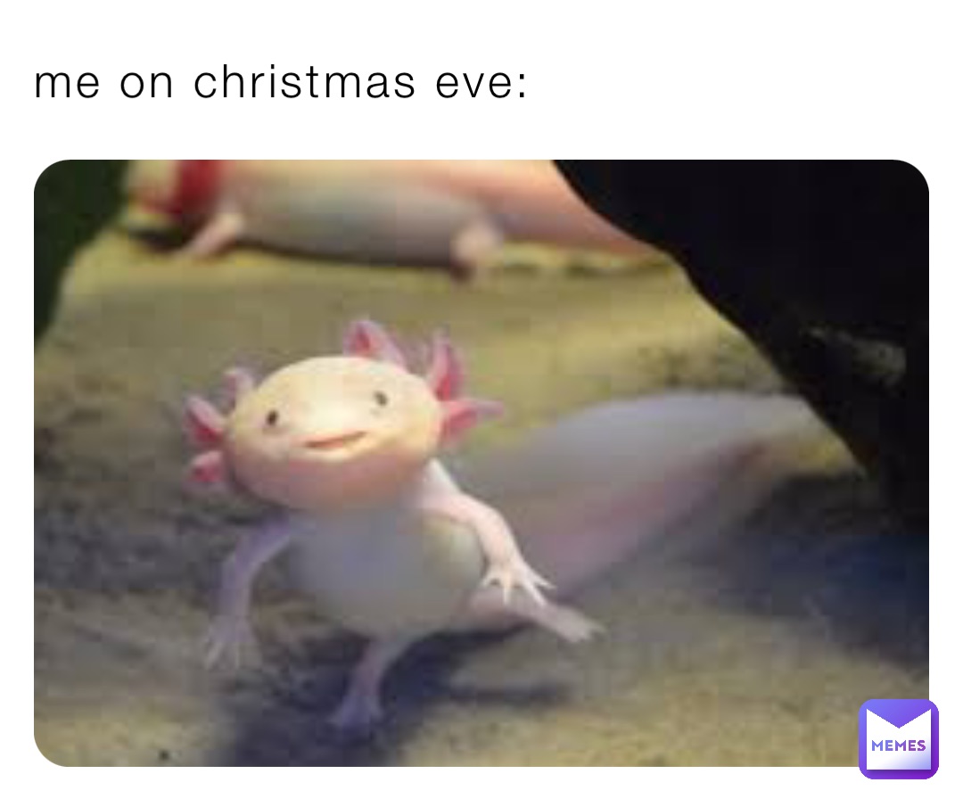 me on christmas eve: