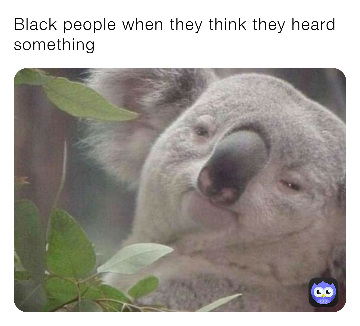 Black people when they think they heard something 