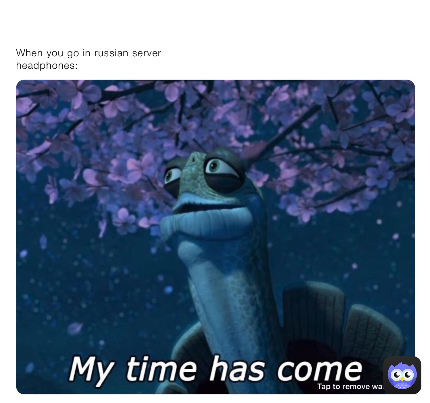 Meme by TrYhArD_Monta