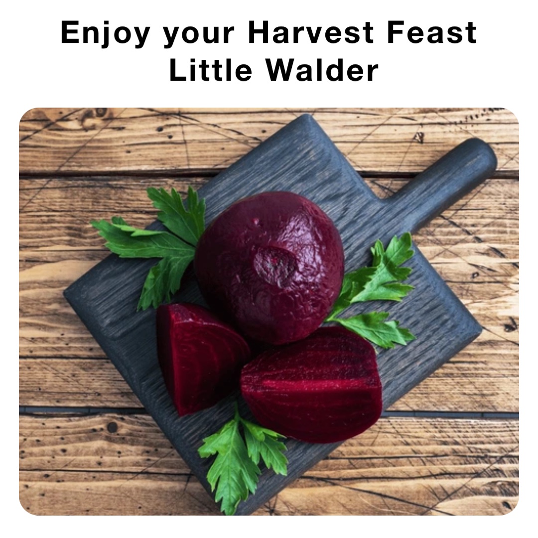 Enjoy your Harvest Feast
 Little Walder