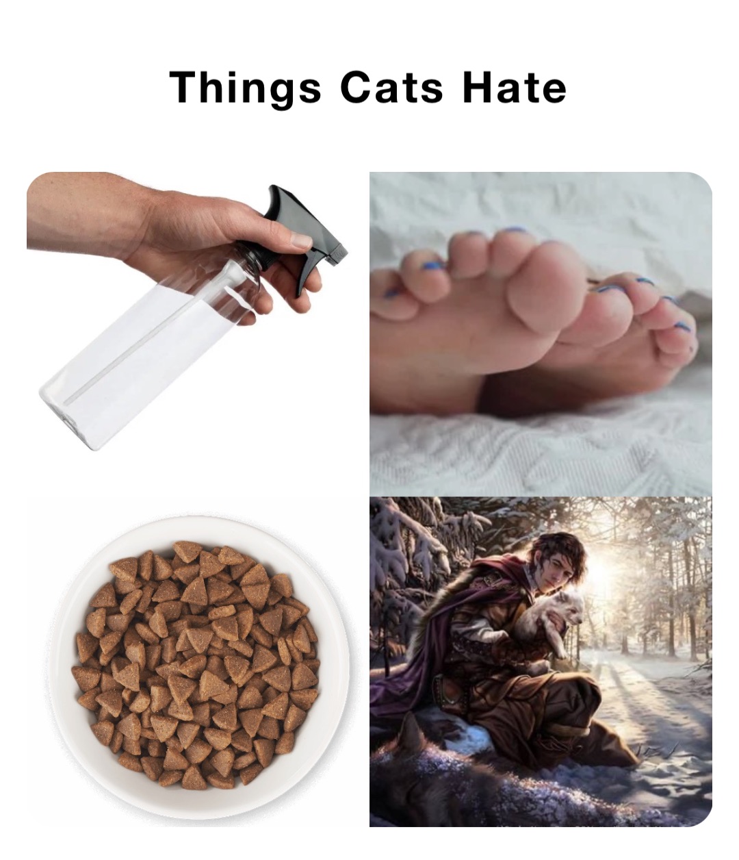 Things Cats Hate