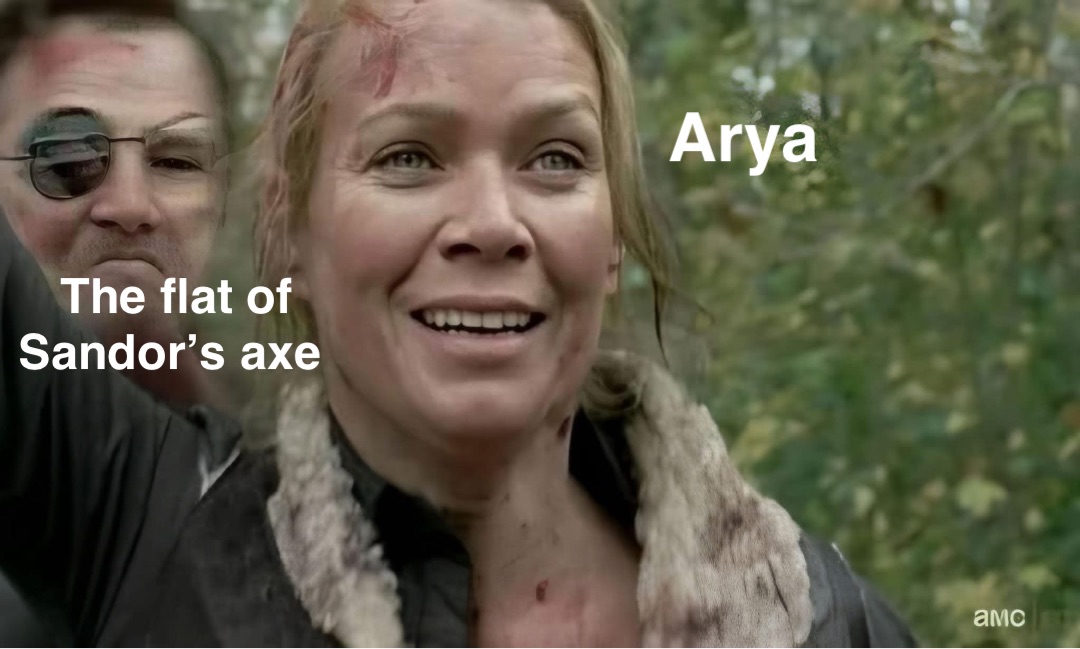 Arya The flat of 
Sandor’s axe
