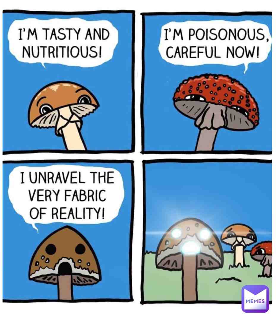 # #psychedelics #psychedelicsociety #psychedelicsoul #psychedelicstore #psychedelicschangelives #psychedelicsunset #psychedelicsex #psychedelicscience #legalizepsychedelics #psychedelicsunday #aliensandpsychedelics #psychedelicstyle #psychedelicsbecause #psychedelicshirt #psychedelicsaturday #psychedelicsounds #neoafrofuturisticpsychedelicsurrealistichippy #psychedelicsky #microdosingpsychedelics #psychedelicstoday #psychedelicsymmetry #psychedelicsleepover #psychedelicselfie #psychedelicshit #psychedelicshop #psychedelicsunsetvintage #psychedelicsister #psychedelicstonerrock #psychedelicspace #psychedelicsurrealism #psychedelicsheep #psychedelicsixties #psychedelicspirituality #psychedelicsummer #psychedelicshrooms #thepsychedelicsoundsofthethfloorelevators #psychedelicsalad #multidisciplinaryassociationforpsychedelicstudies #psychedelicsound #psychedelicsheal