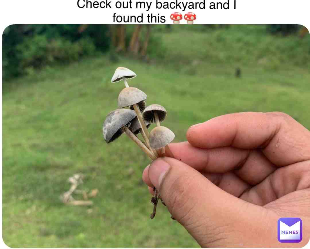 # #psychedelics #psychedelicsociety #psychedelicsoul #psychedelicstore #psychedelicschangelives #psychedelicsunset #psychedelicsex #psychedelicscience #legalizepsychedelics #psychedelicsunday #aliensandpsychedelics #psychedelicstyle #psychedelicsbecause #psychedelicshirt #psychedelicsaturday #psychedelicsounds #neoafrofuturisticpsychedelicsurrealistichippy #psychedelicsky #microdosingpsychedelics #psychedelicstoday #psychedelicsymmetry #psychedelicsleepover #psychedelicselfie #psychedelicshit #psychedelicshop #psychedelicsunsetvintage #psychedelicsister #psychedelicstonerrock #psychedelicspace #psychedelicsurrealism #psychedelicsheep #psychedelicsixties #psychedelicspirituality #psychedelicsummer #psychedelicshrooms #thepsychedelicsoundsofthethfloorelevators #psychedelicsalad #multidisciplinaryassociationforpsychedelicstudies #psychedelicsound #psychedelicsheal