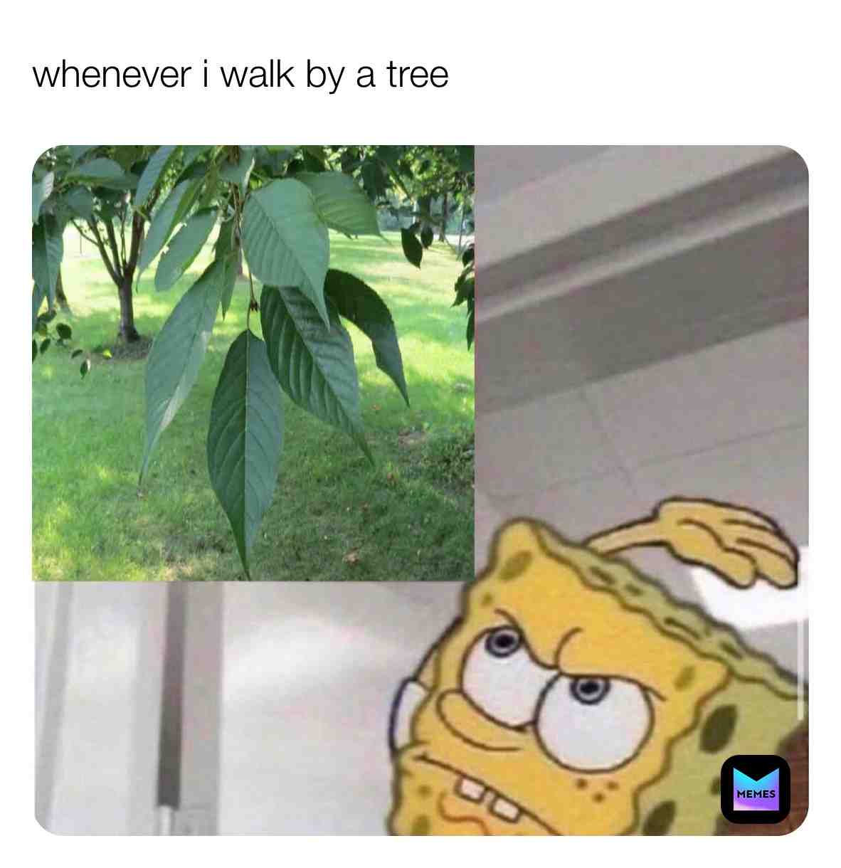 Enjoying this breath of bedroom air. Smacking virtual treeess. YESSIR!! Here take what you NEED  🧻   #memes  #relatable ​ #Covid19