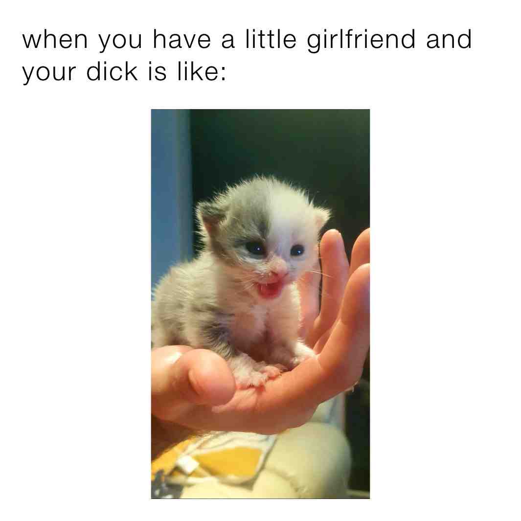 #follow  #like ​ #memes