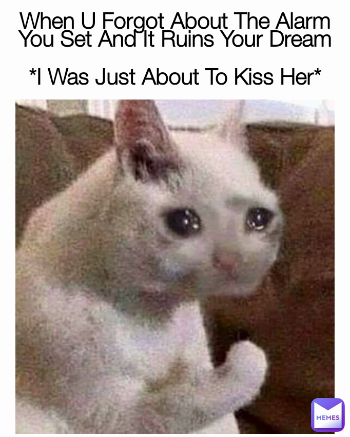 When U Forgot About The Alarm You Set And It Ruins Your Dream

*I Was Just About To Kiss Her*