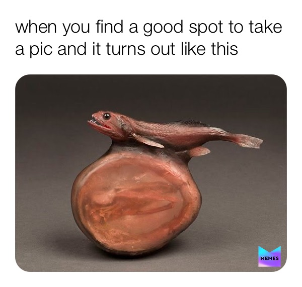 Meme by xxdestiny24xx