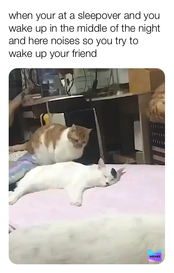 Meme by xxdestiny24xx