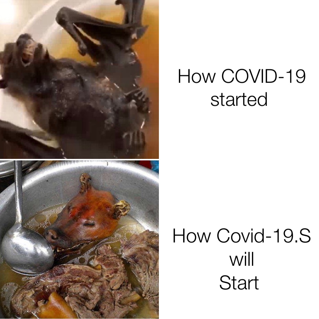 How COVID-19 started How Covid-19.S will 
Start