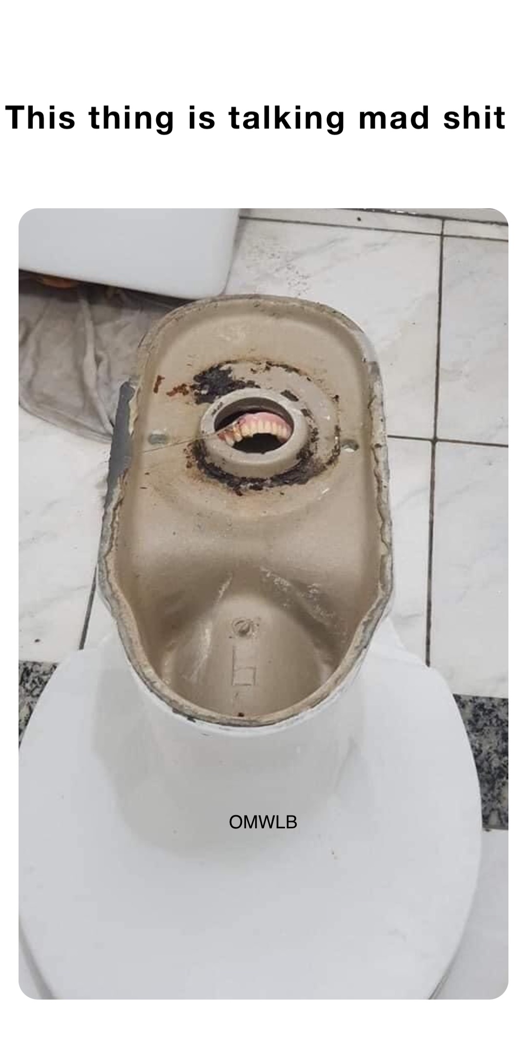 This thing is talking mad shit