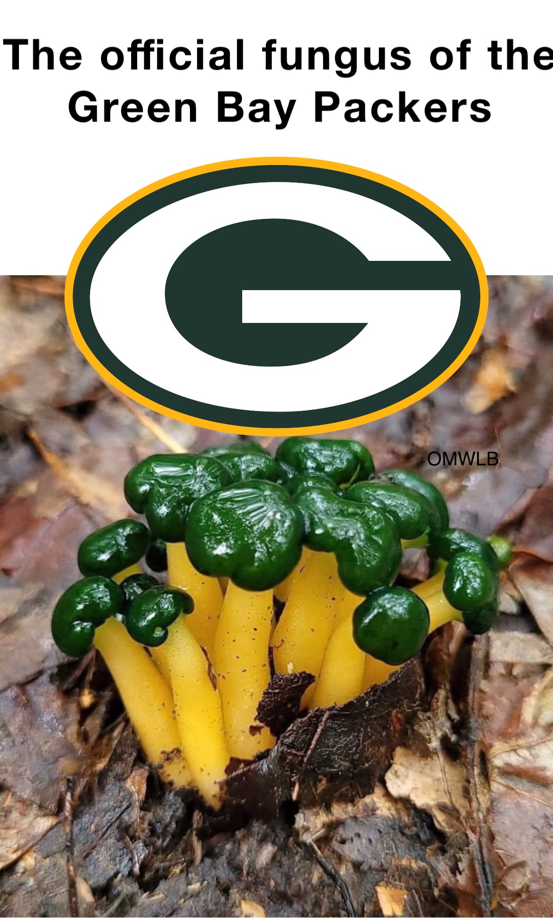 The official fungus of the 
Green Bay Packers