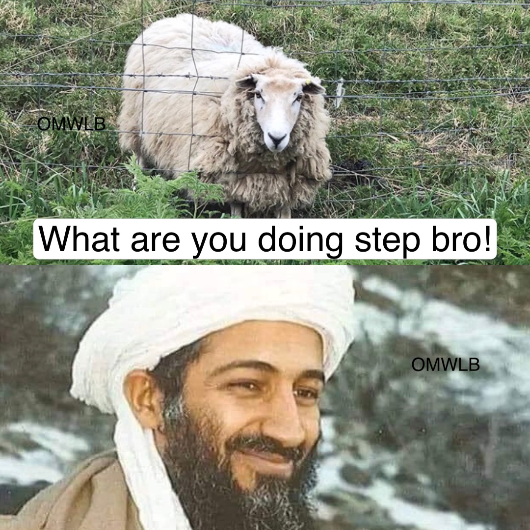 What are you doing step bro! funny_daily1989 Memes