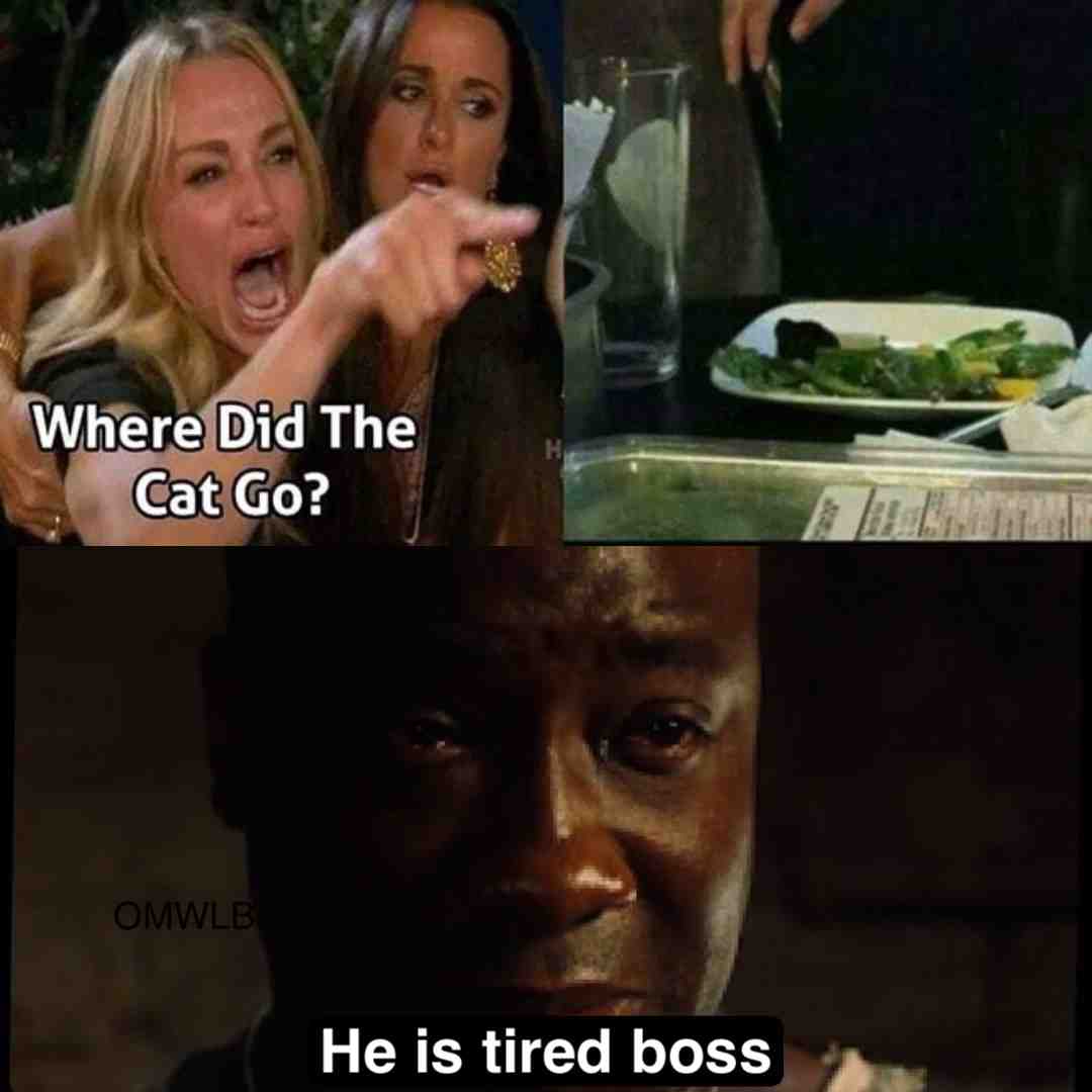 #cat #imtired #boss #new #oc #lol #meme #funny