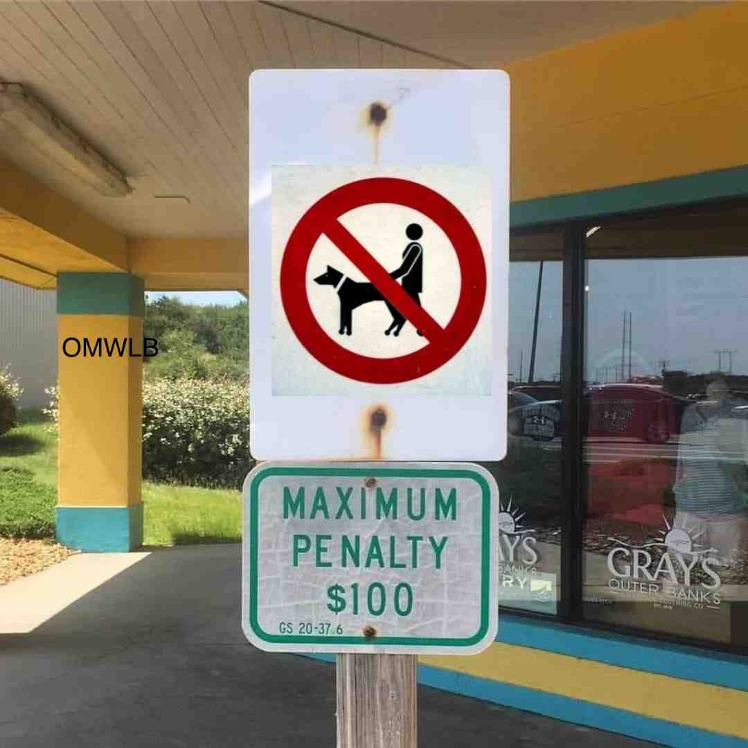 #no #nono #hellno #dog #funny #dank #darkmeme #memes #dogmeme