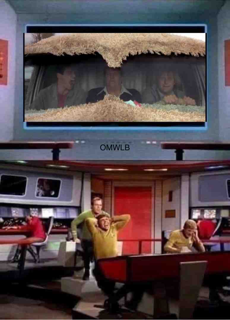 #meme #lol #funnt #oc
