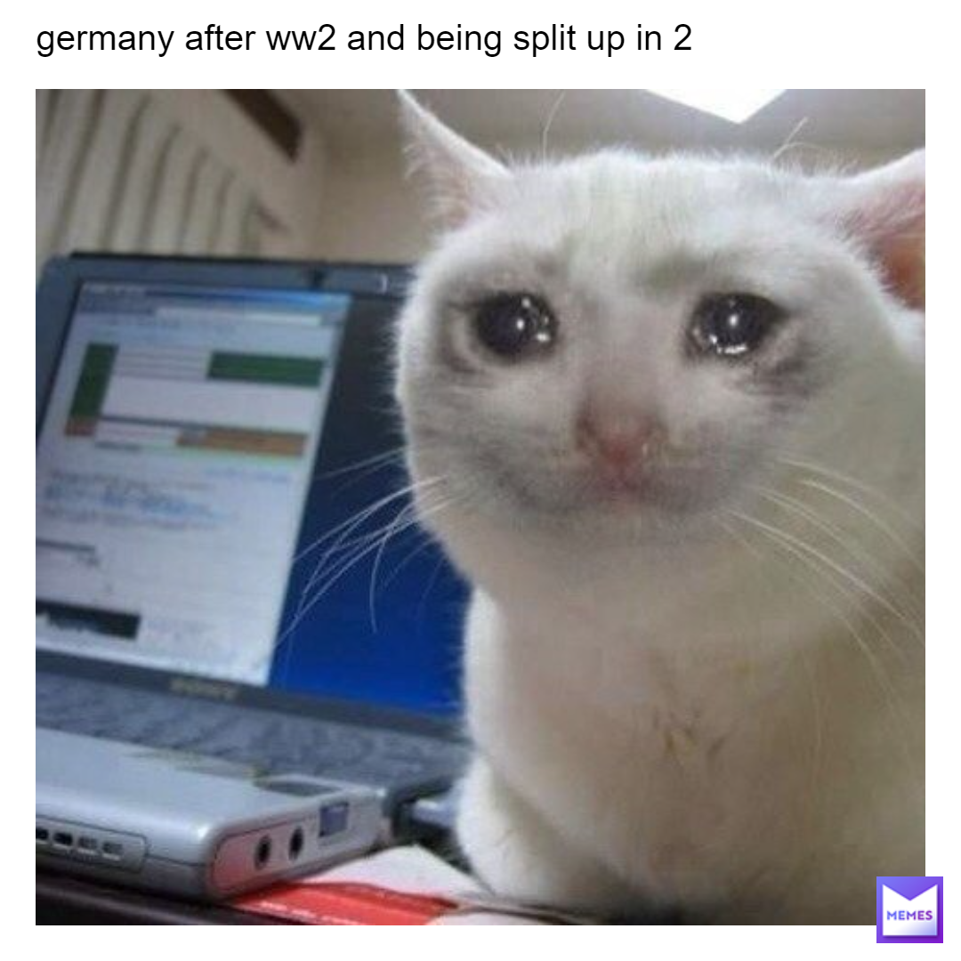 sad cat meme in german Diagram