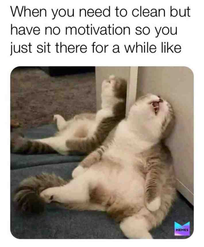 Meme shared by @overlord13578