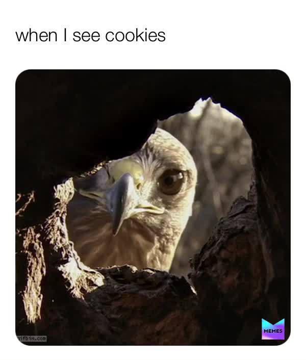 #truedat