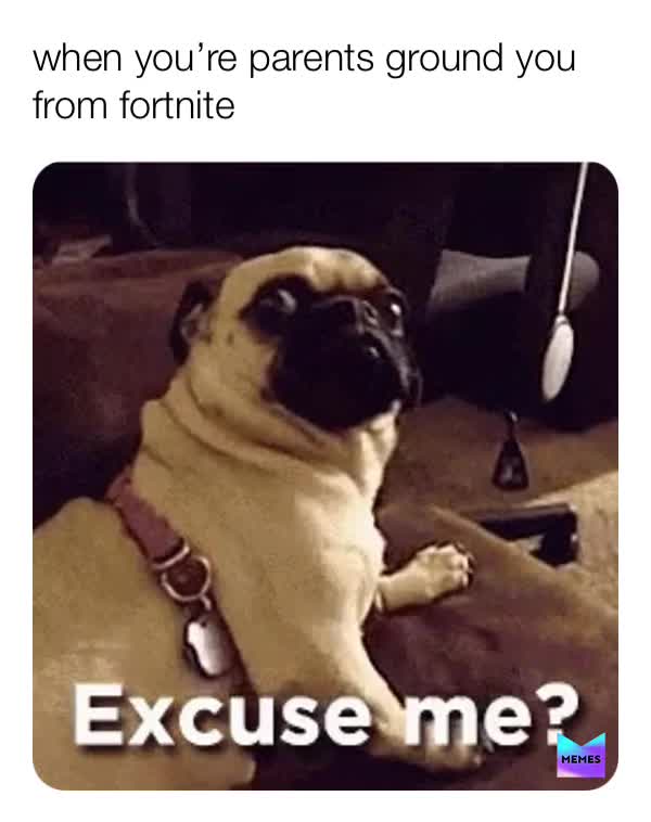 #follow