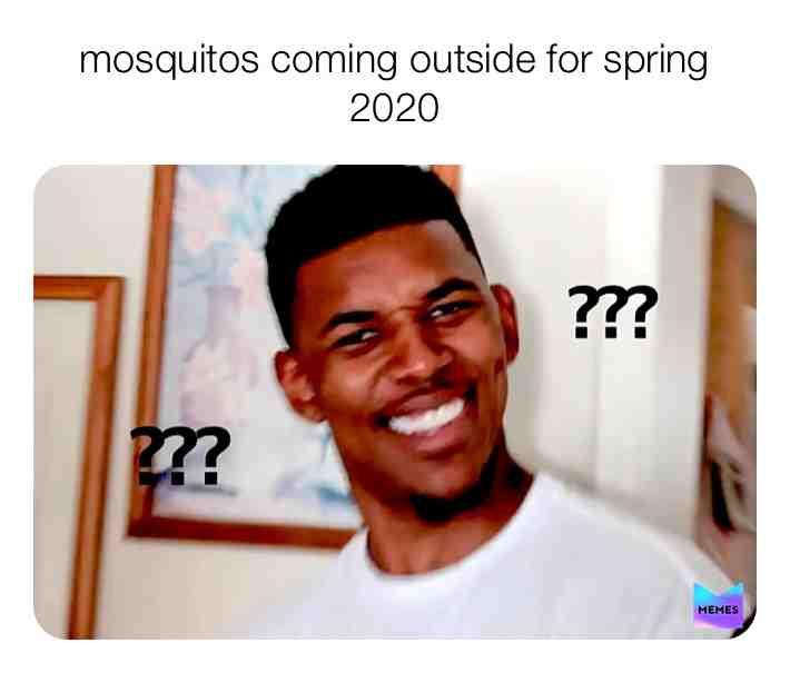 Meme shared by @Mrs.Westy