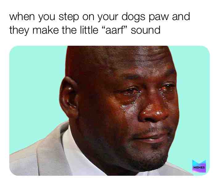 Meme shared by @Mrs.Westy