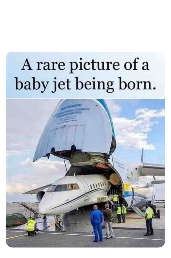 Meme shared by @Mrs.Westy