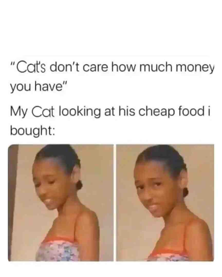 Meme shared by @Mrs.Westy