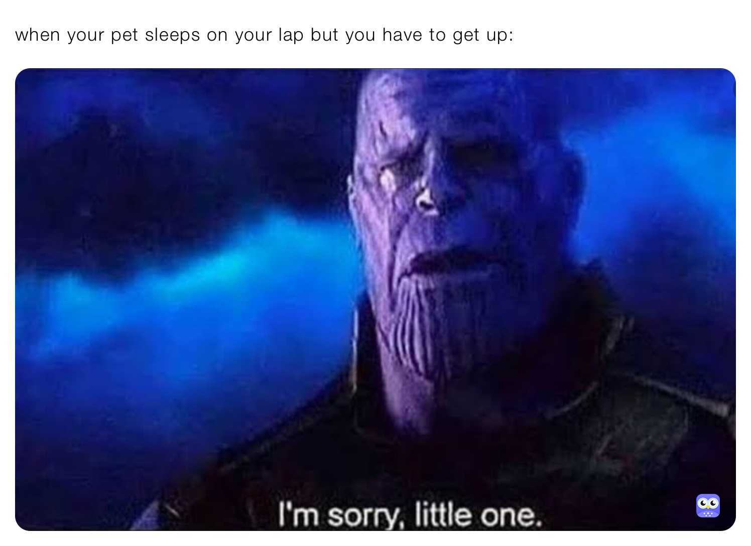 Meme by poter23536_roblox