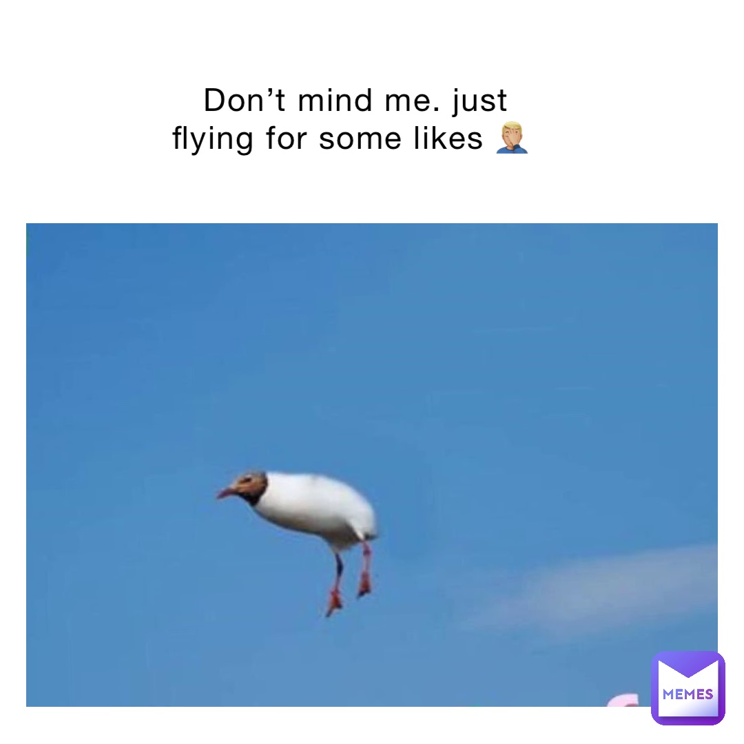 Don’t mind me. Just flying for some likes 🤦🏼‍♂️