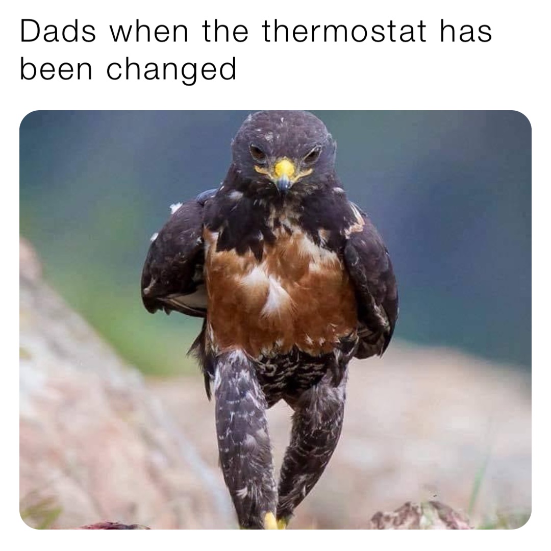 Dads when the thermostat has been changed