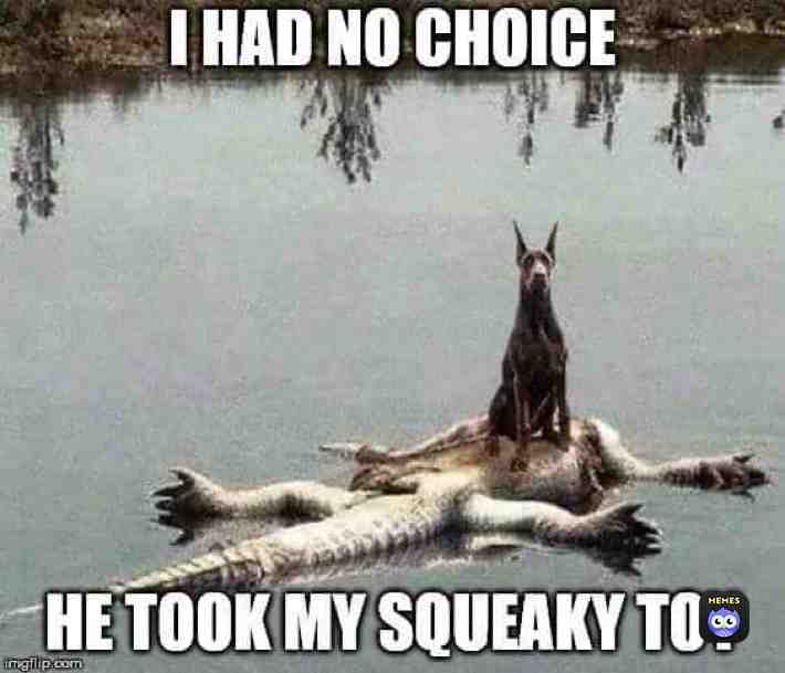 Meme shared by @FireBolt975
