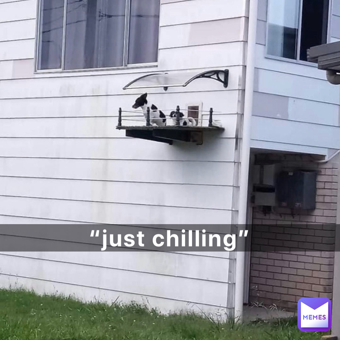 “Just Chilling”