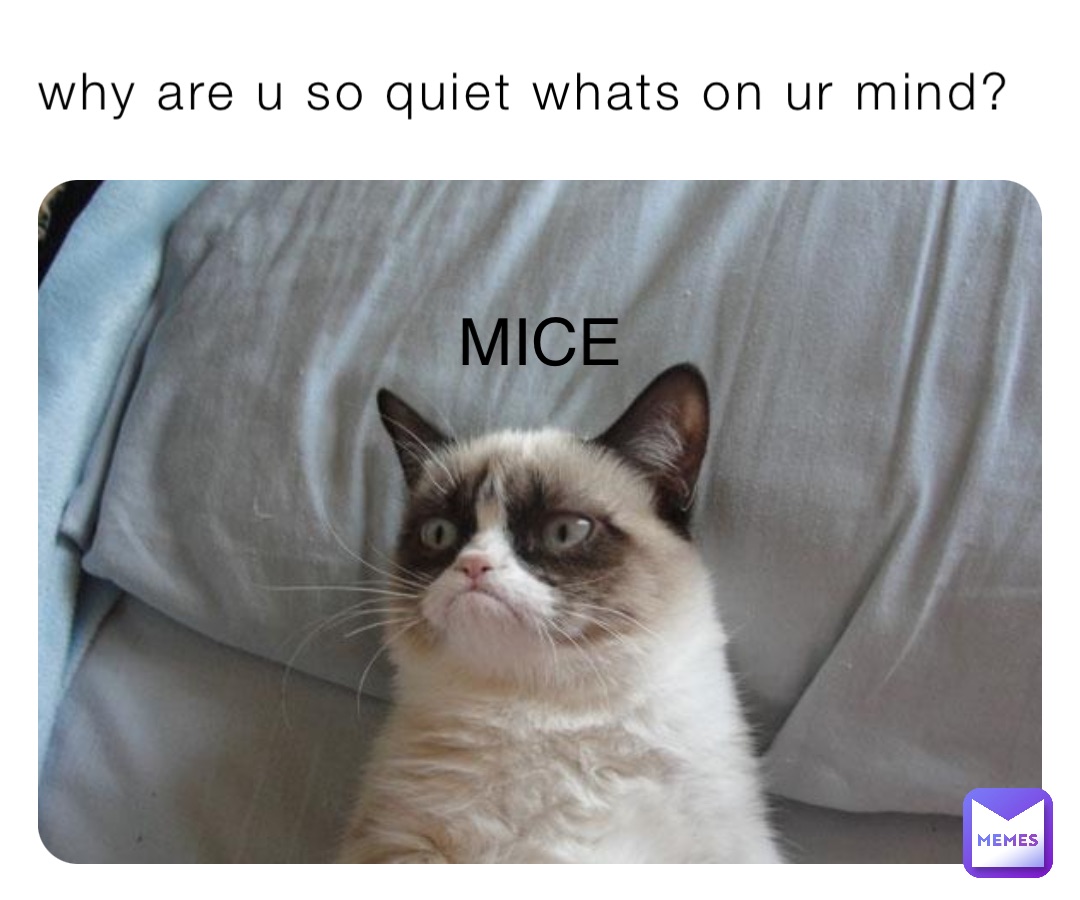 why are u so quiet whats on ur mind? MICE