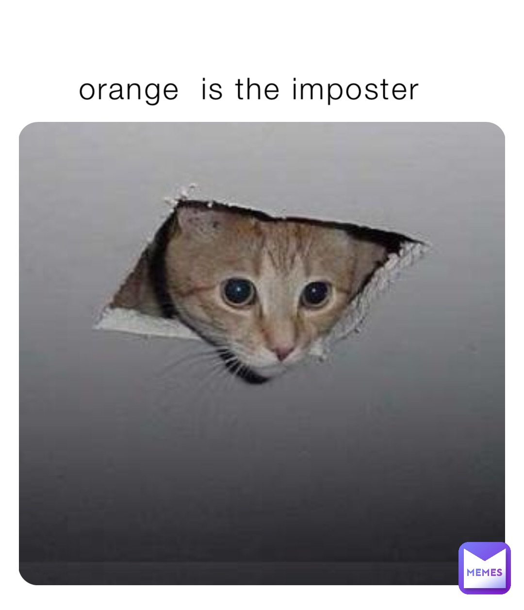 orange  is the imposter