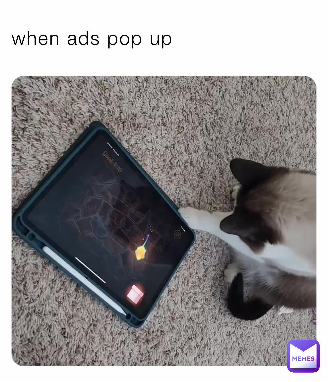 when-ads-pop-up-catmemez-memes