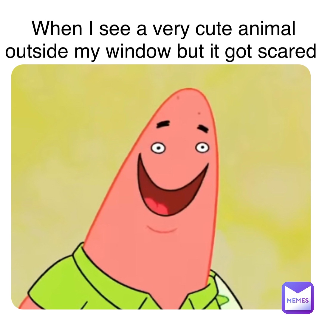 When I see a very cute animal outside my window but it got scared