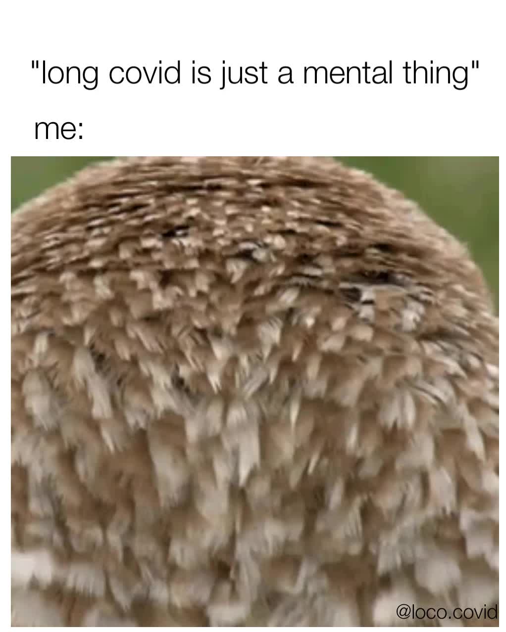 Meme preview