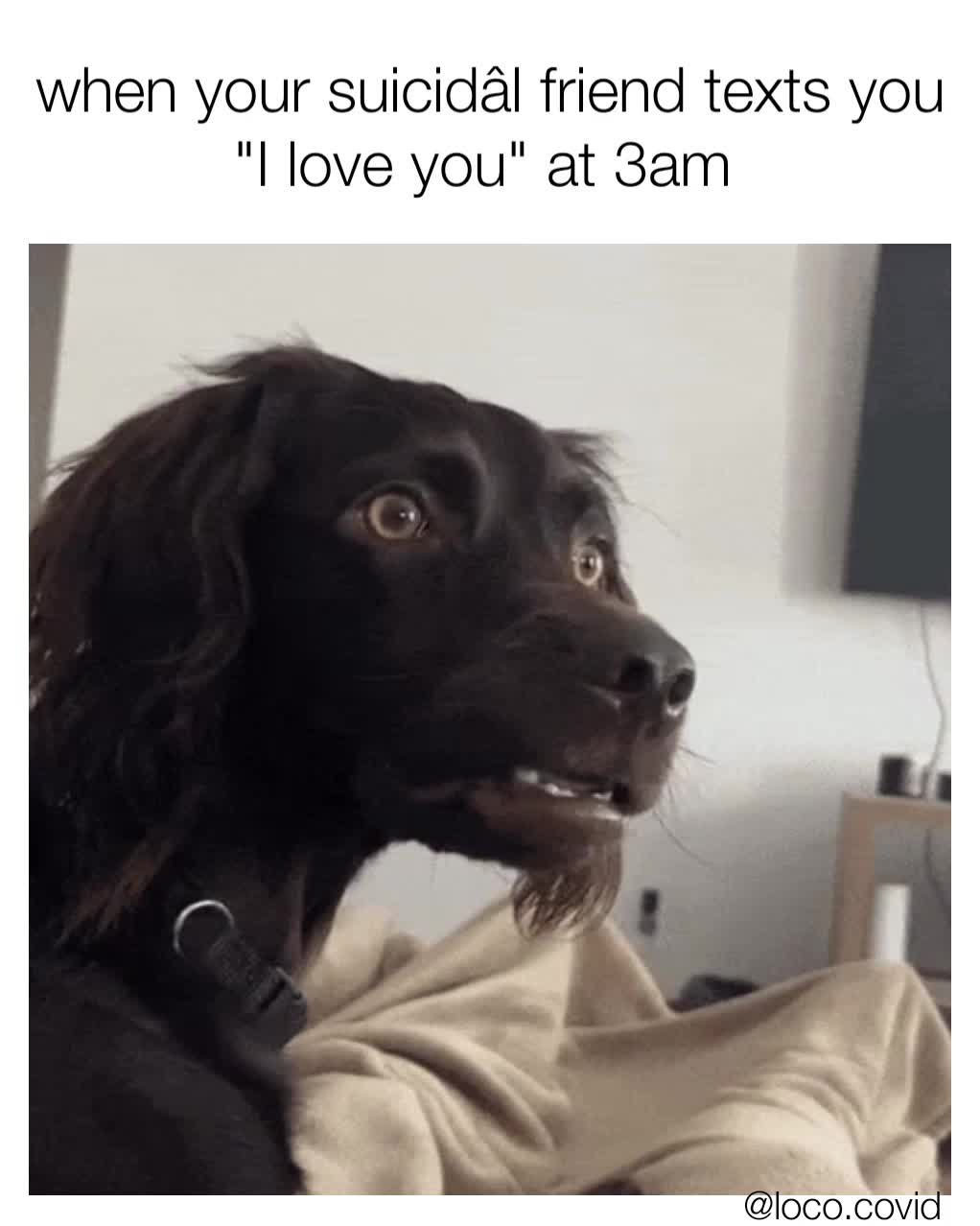 Meme preview