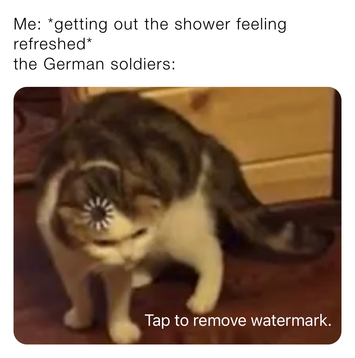 Me: *getting out the shower feeling refreshed*
the German soldiers: