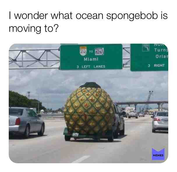 Meme preview