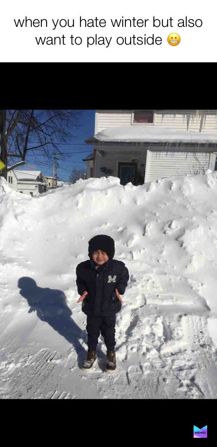 #snowday #winter #memes #memesdaily #meme #playtime #toocold