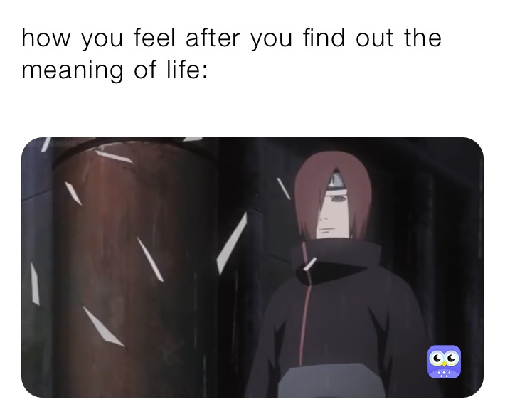 how you feel after you find out the meaning of life:
